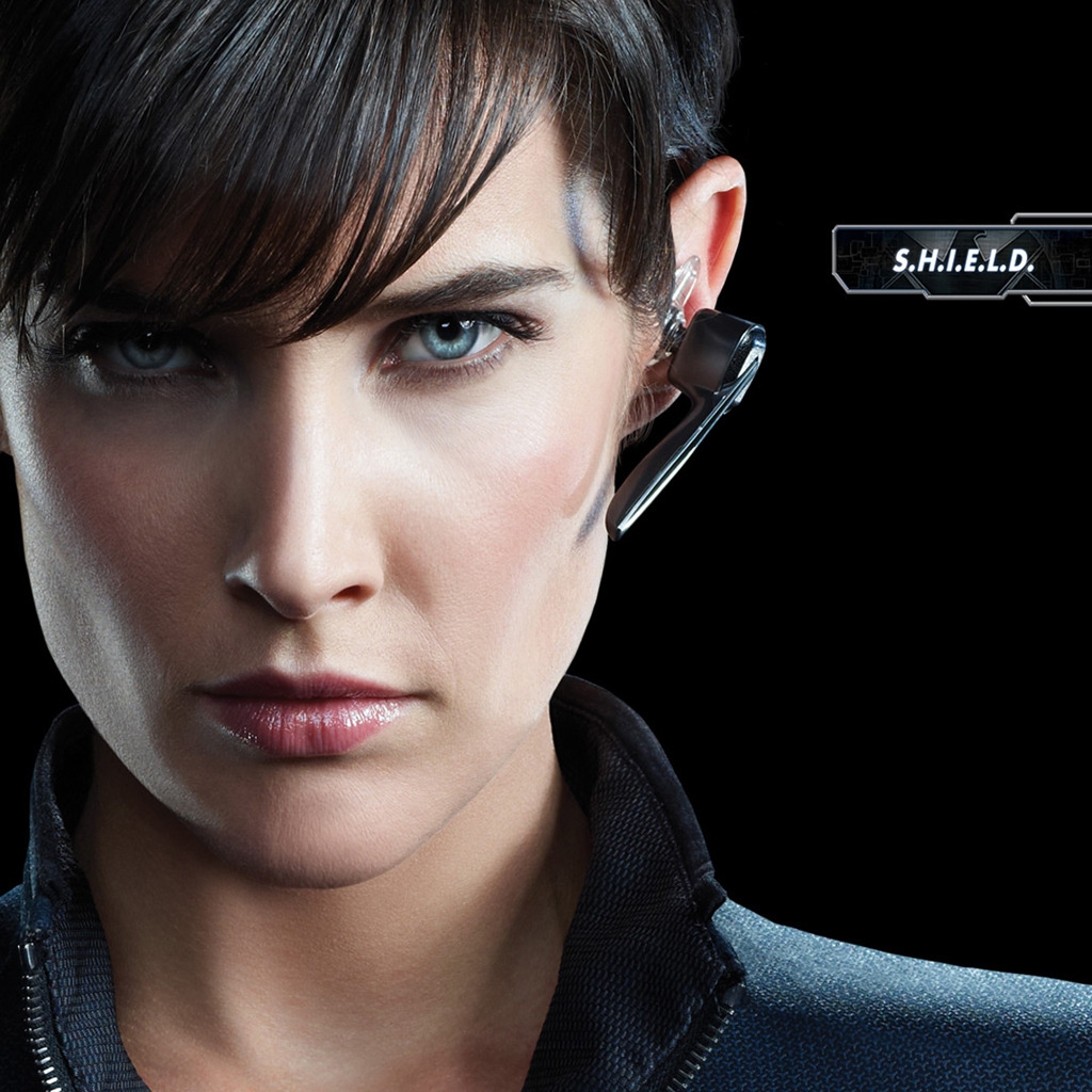 The Avengers Agent Maria Hill for 1024 x 1024 iPad resolution