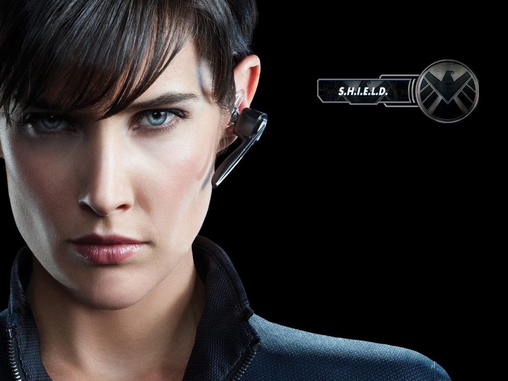 The Avengers Agent Maria Hill for 1024 x 768 resolution