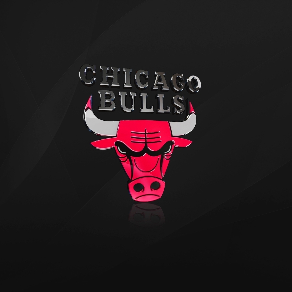 The Chicago Bulls for 1024 x 1024 iPad resolution