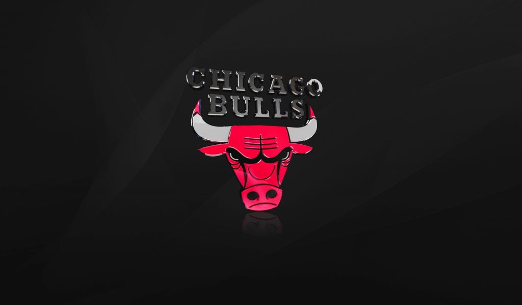 The Chicago Bulls for 1024 x 600 widescreen resolution