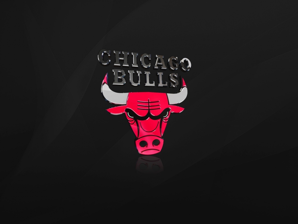 The Chicago Bulls for 1152 x 864 resolution