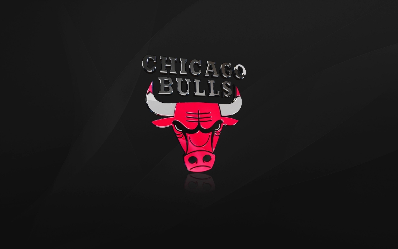 The Chicago Bulls for 1280 x 800 widescreen resolution