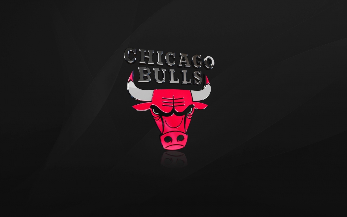 The Chicago Bulls for 1440 x 900 widescreen resolution