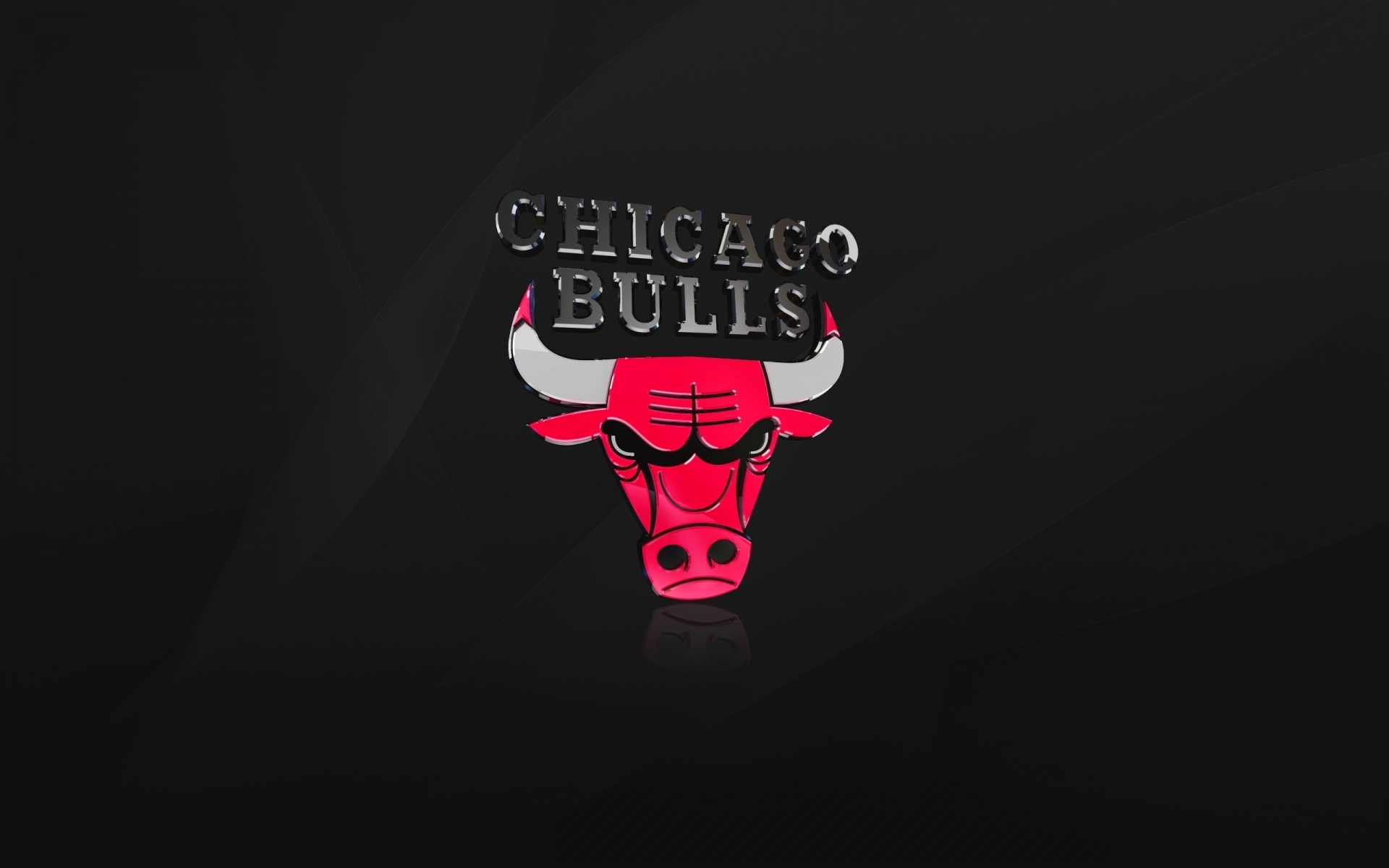The Chicago Bulls for 1920 x 1200 widescreen resolution