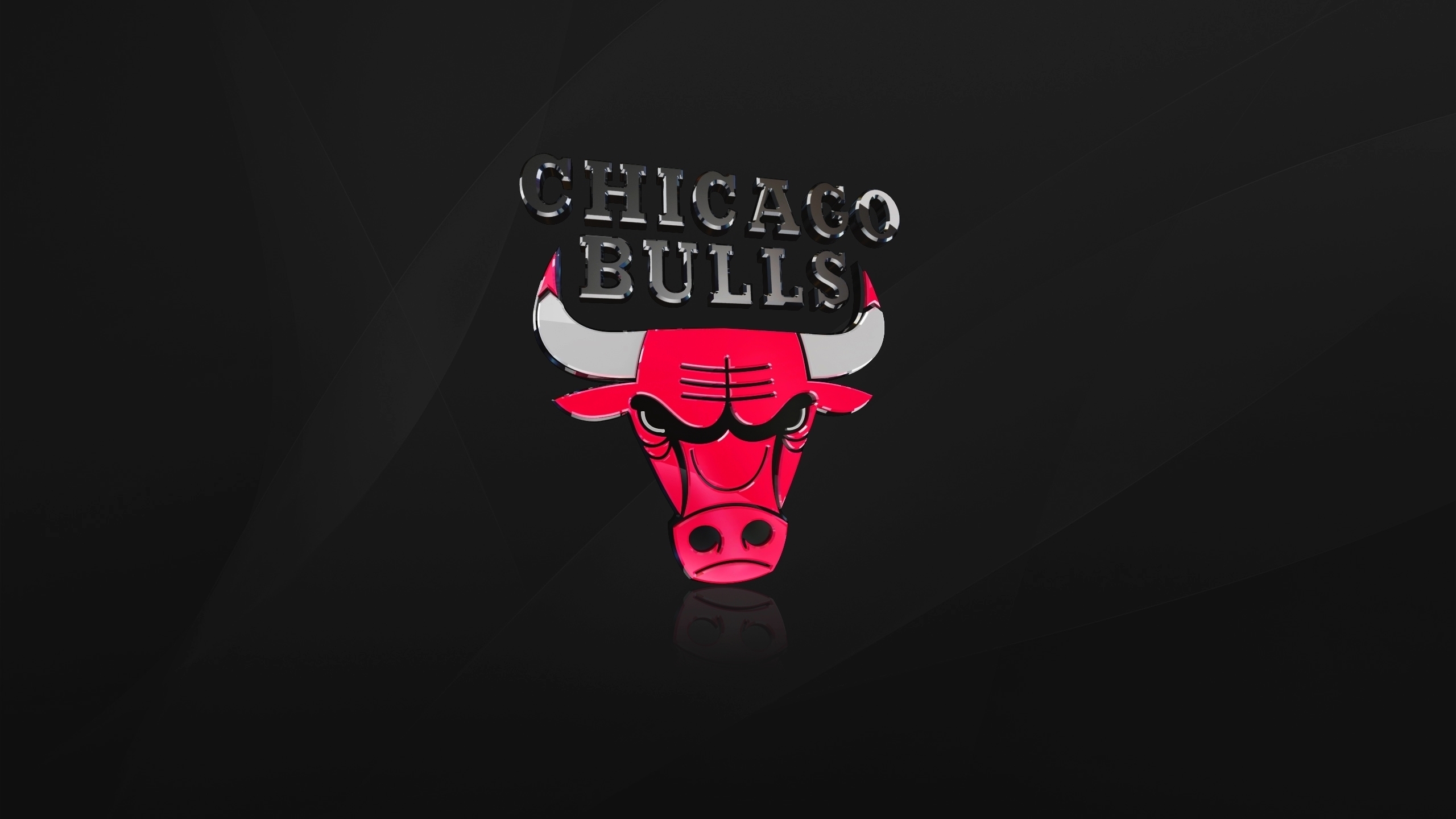 The Chicago Bulls for 2560x1440 HDTV resolution