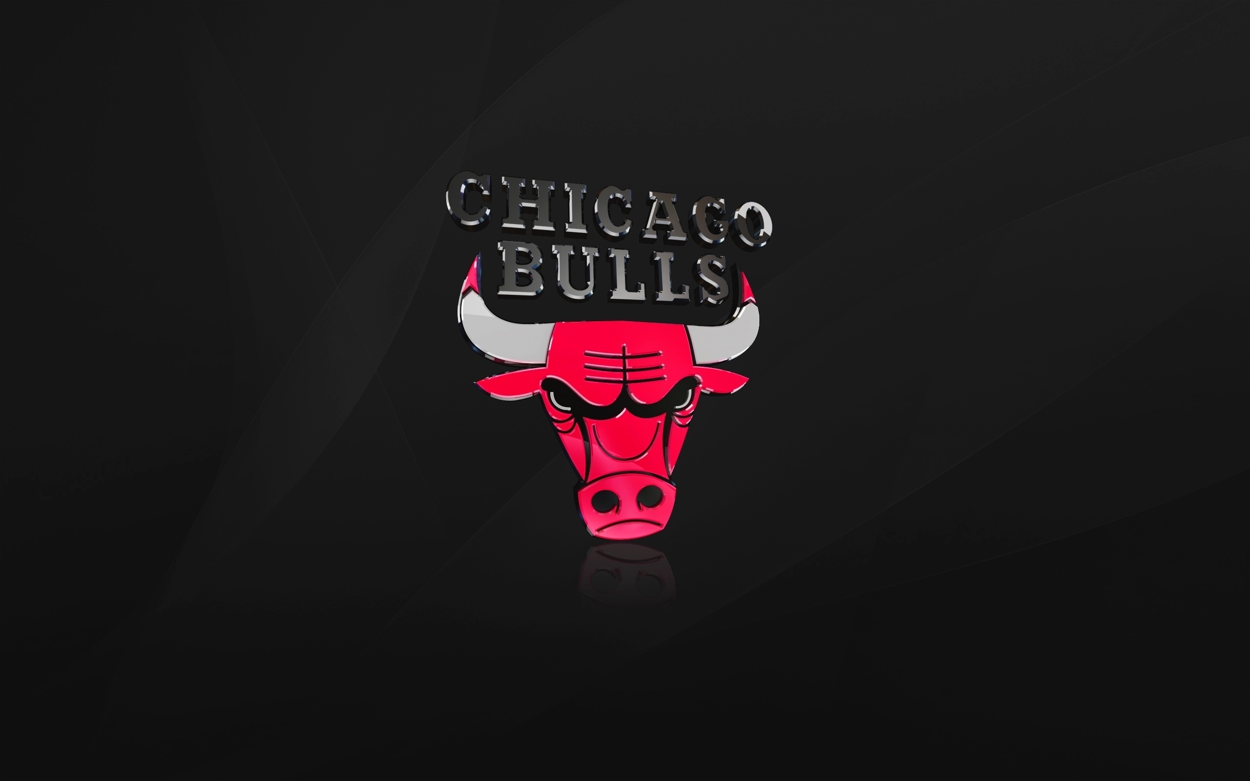 The Chicago Bulls for 2560 x 1600 widescreen resolution