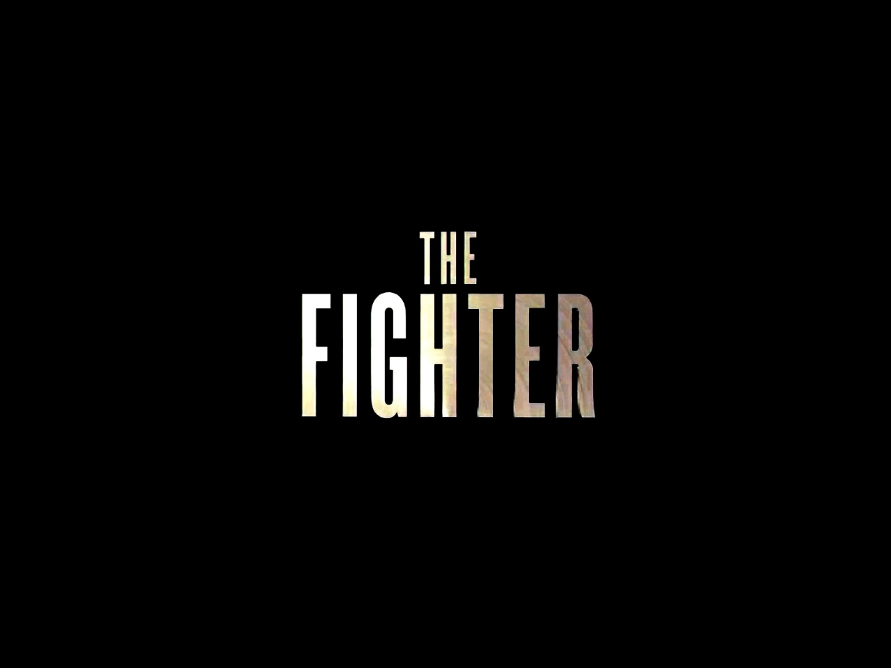 The Fighter Logo for 1280 x 960 resolution