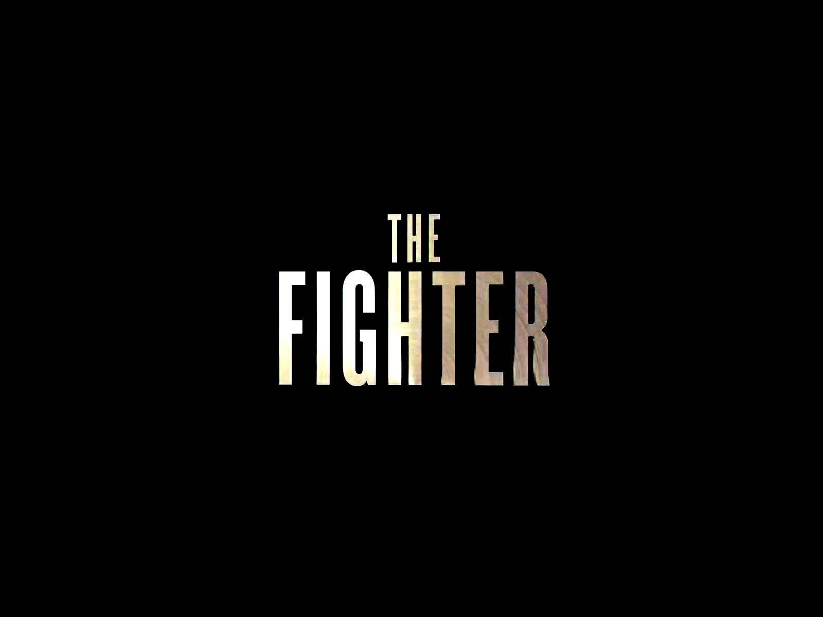 The Fighter Logo for 1600 x 1200 resolution