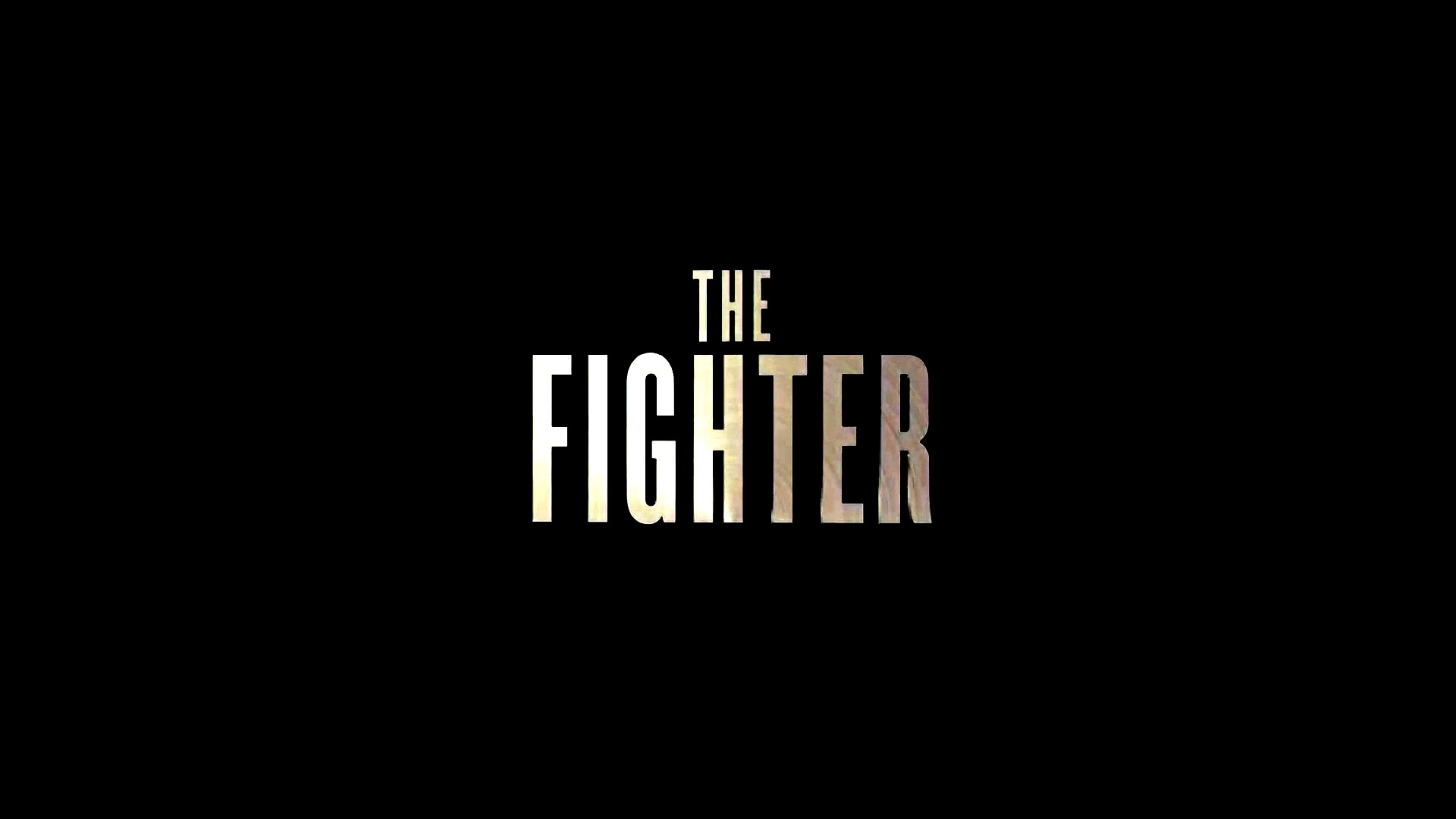The Fighter Logo for 1920 x 1080 HDTV 1080p resolution