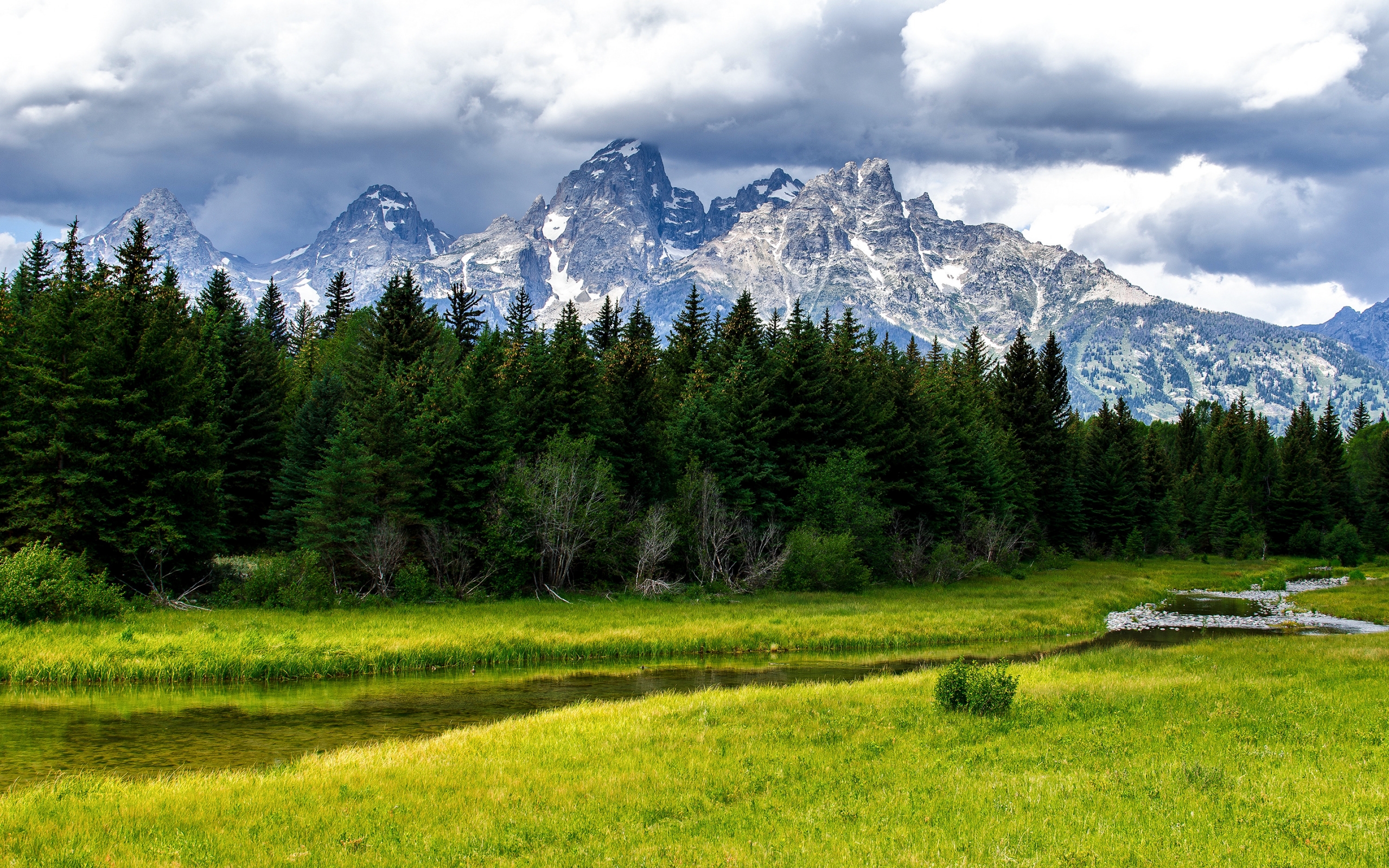 The Grand Tetons for 2560 x 1600 widescreen resolution