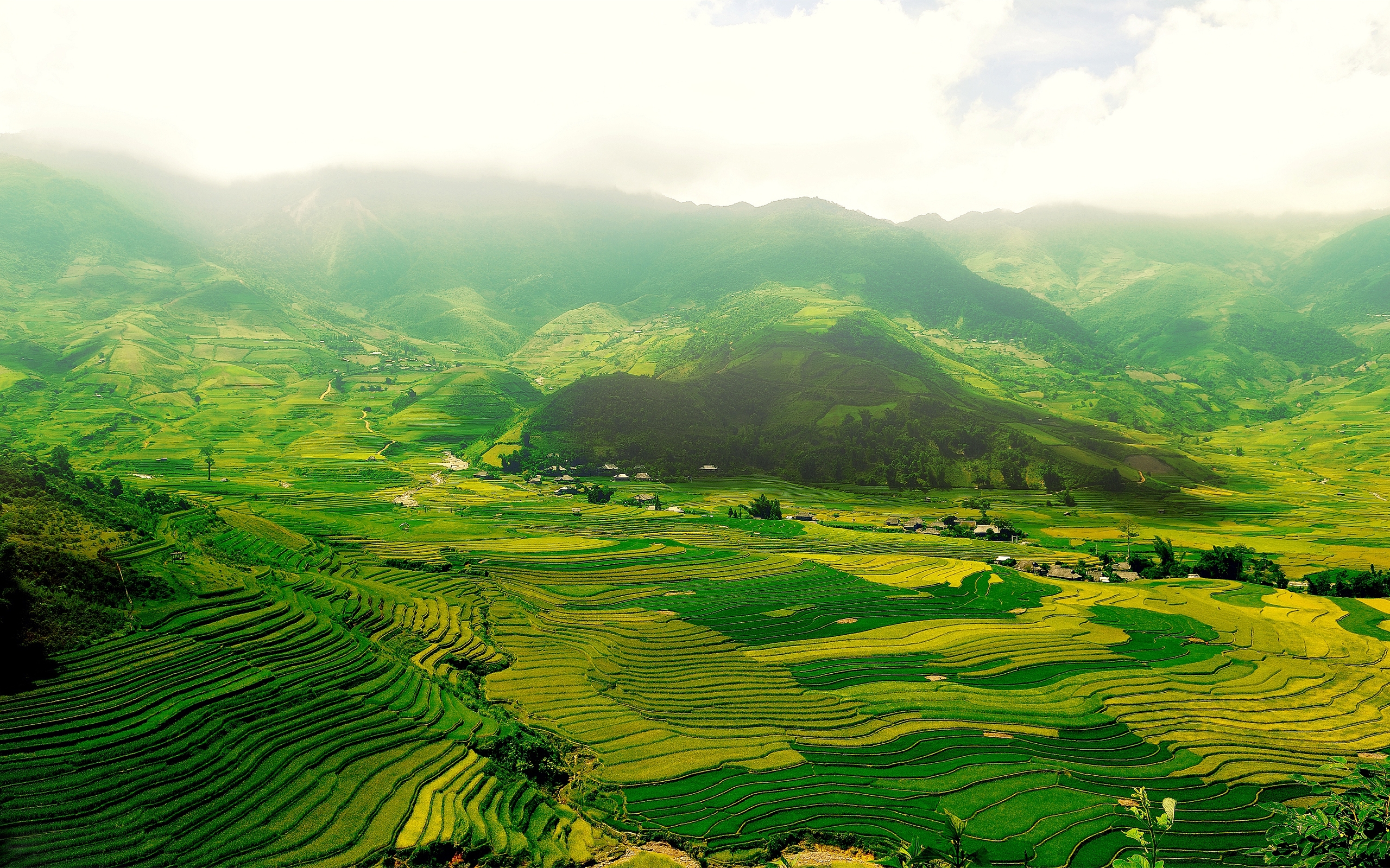 The green fields for 2560 x 1600 widescreen resolution