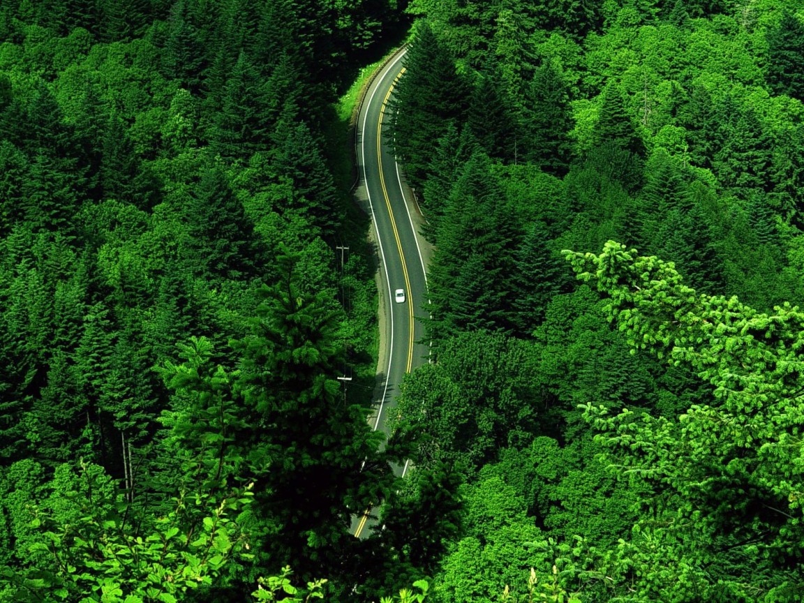 The Green Road for 1152 x 864 resolution