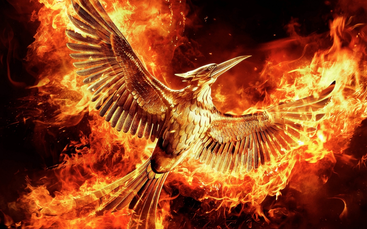 The Hunger Games Mockingjay Part 2 for 1280 x 800 widescreen resolution
