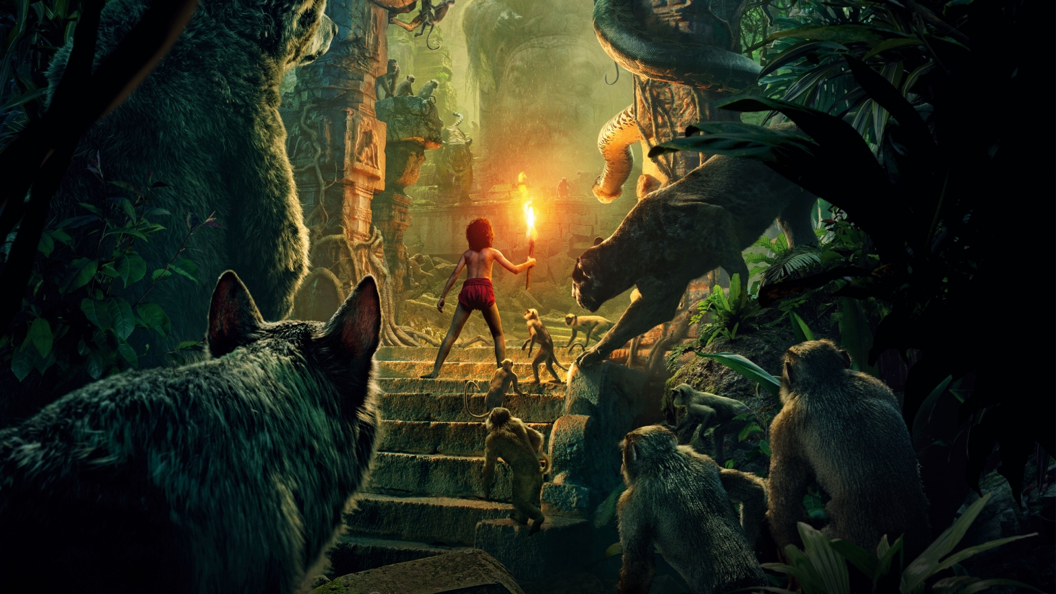The Jungle Book 2016 for 1536 x 864 HDTV resolution