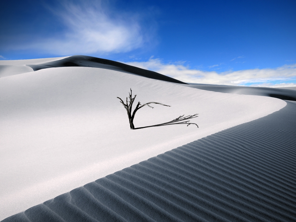 The Lonesome Dune for 1024 x 768 resolution