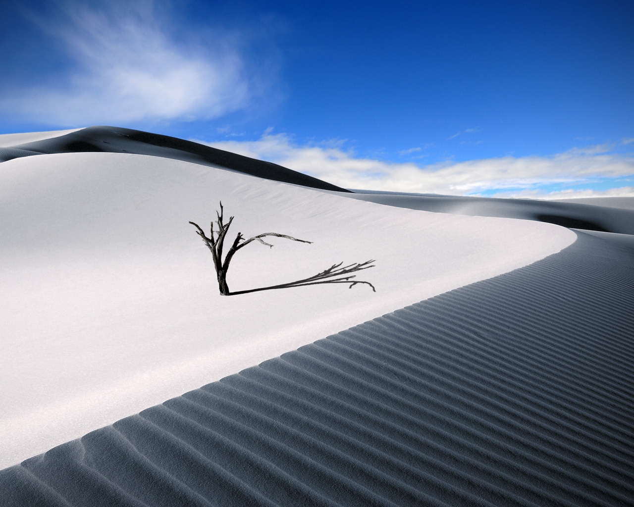 The Lonesome Dune for 1280 x 1024 resolution
