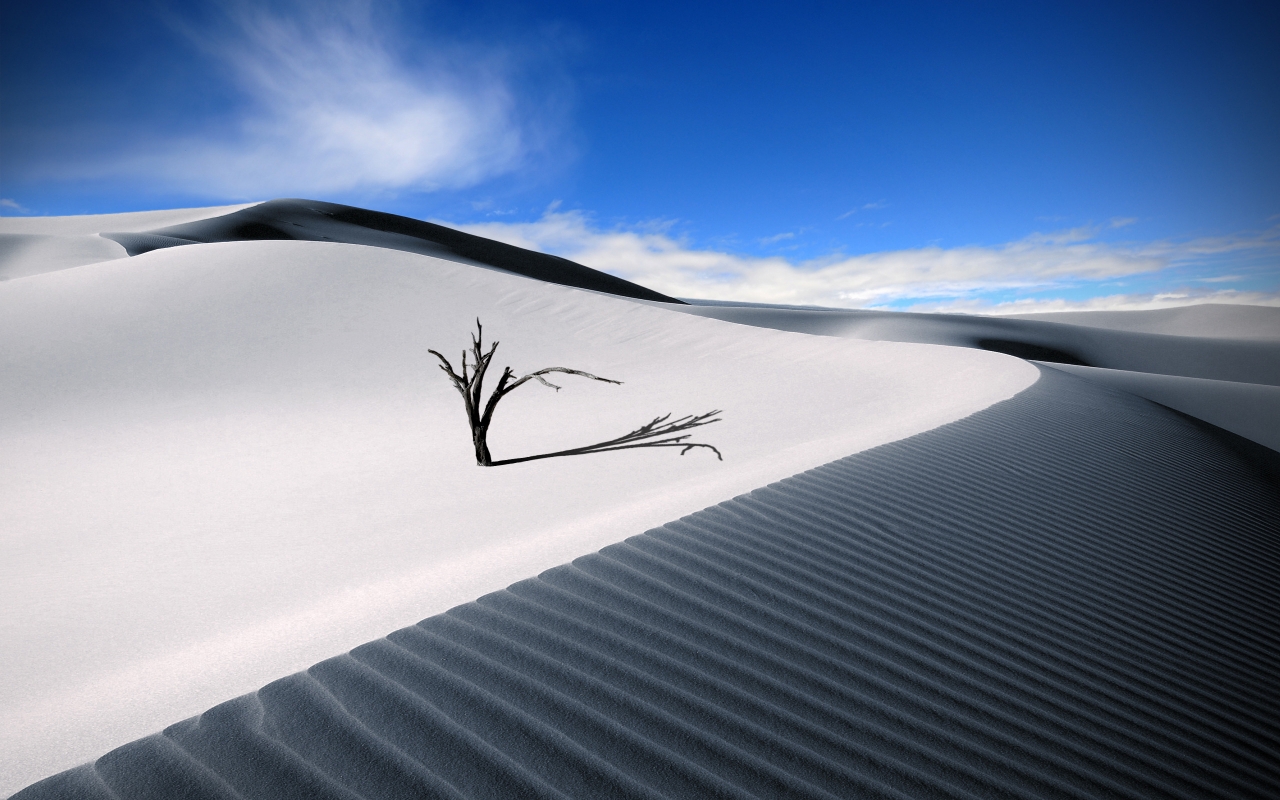 The Lonesome Dune for 1280 x 800 widescreen resolution