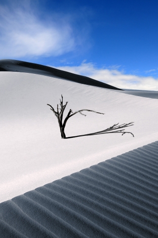 The Lonesome Dune for 320 x 480 iPhone resolution