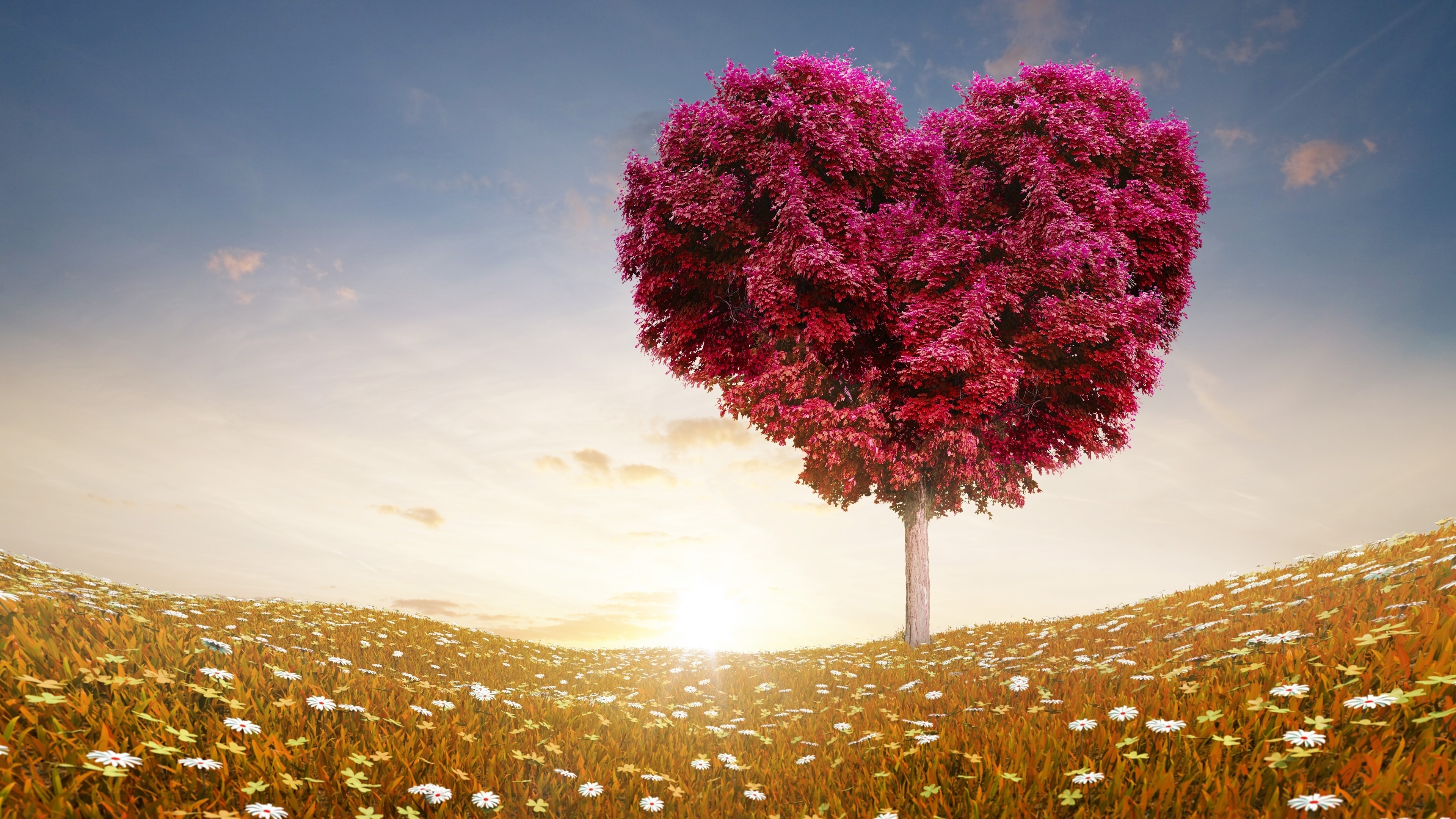 The Love Tree for 3840 x 2160 Ultra HD resolution