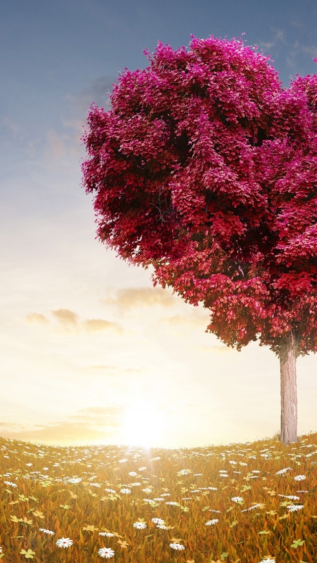 The Love Tree for 640 x 1136 iPhone 5 resolution