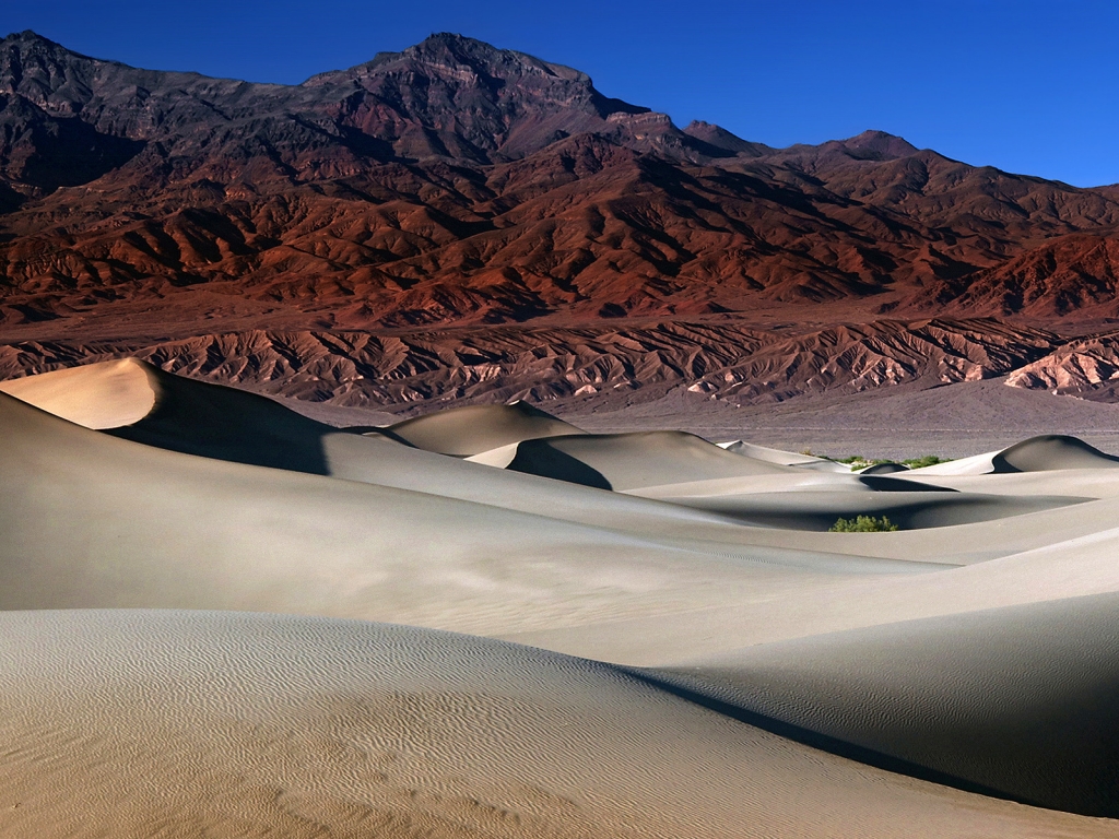 The Mesquite Dunes for 1024 x 768 resolution