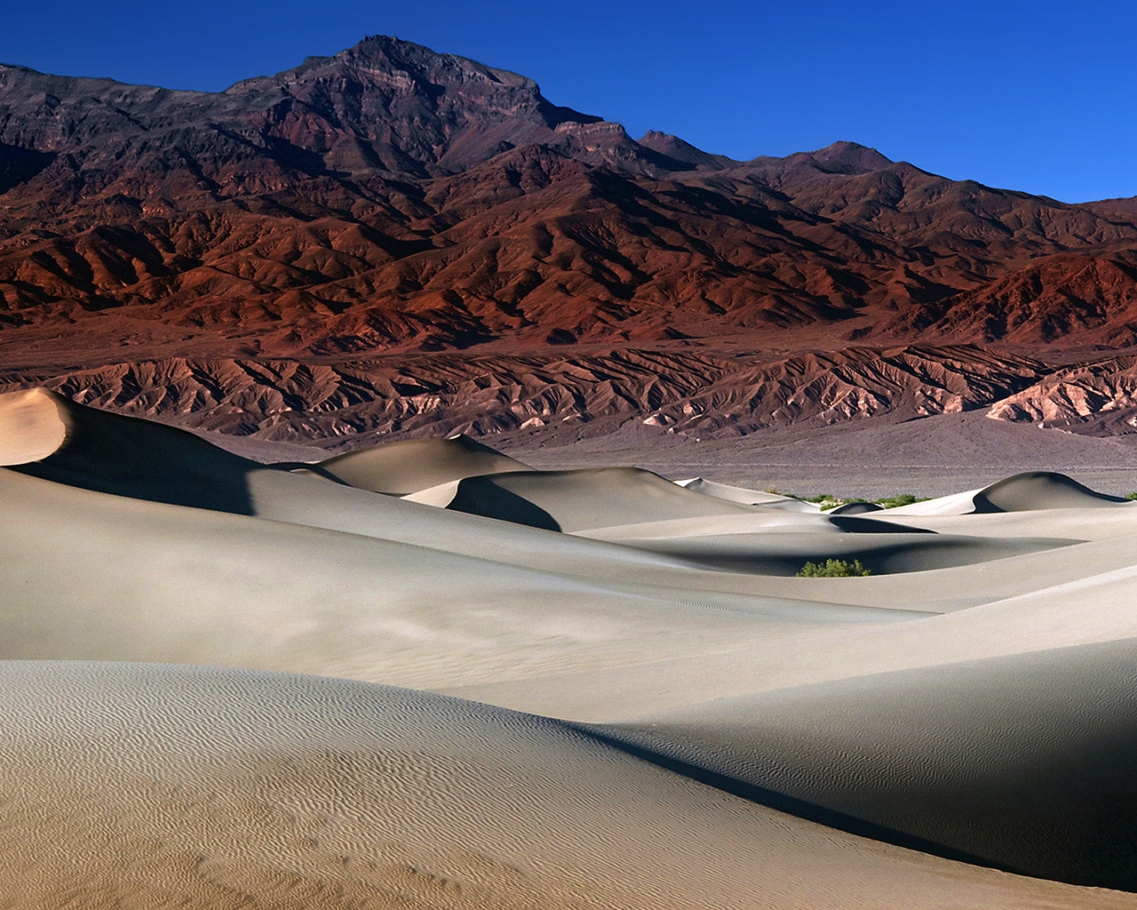 The Mesquite Dunes for 1280 x 1024 resolution