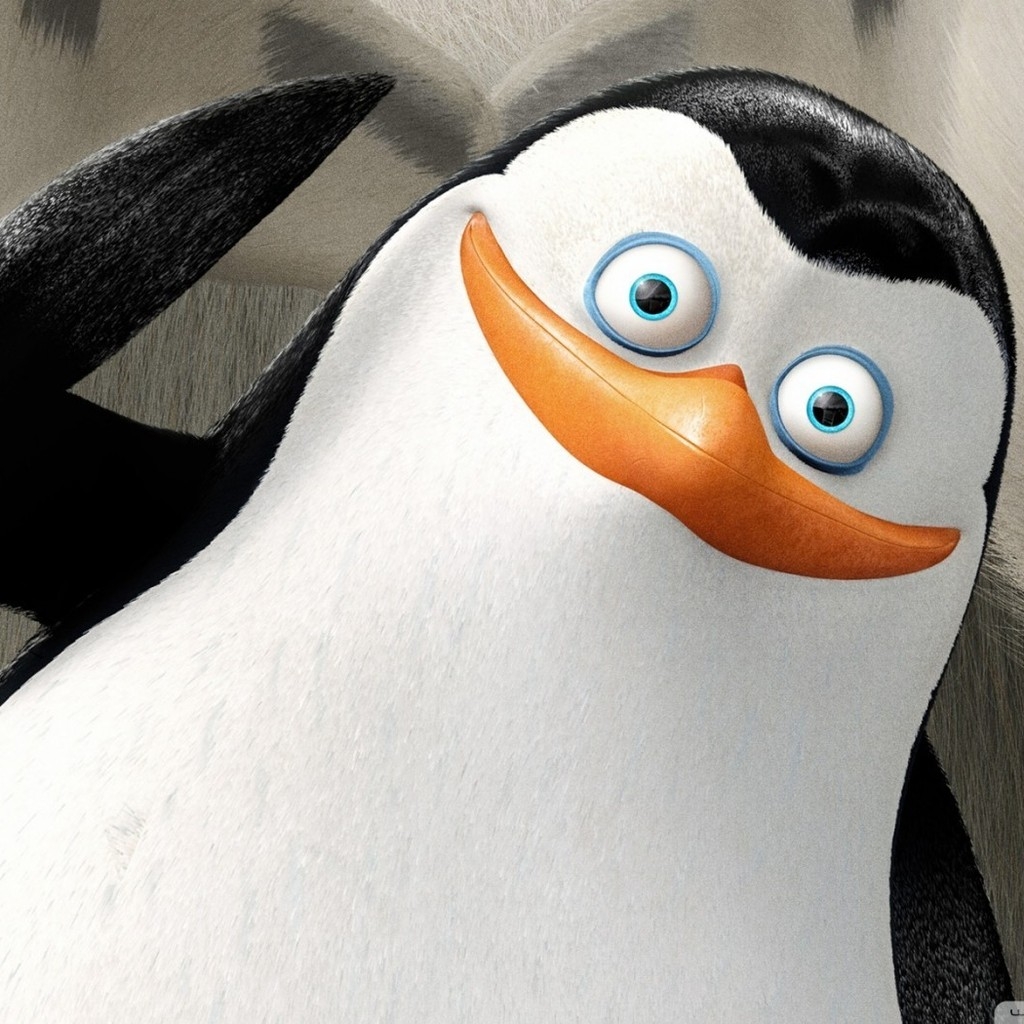 The Penguins of Madagascar Cartoon for 1024 x 1024 iPad resolution