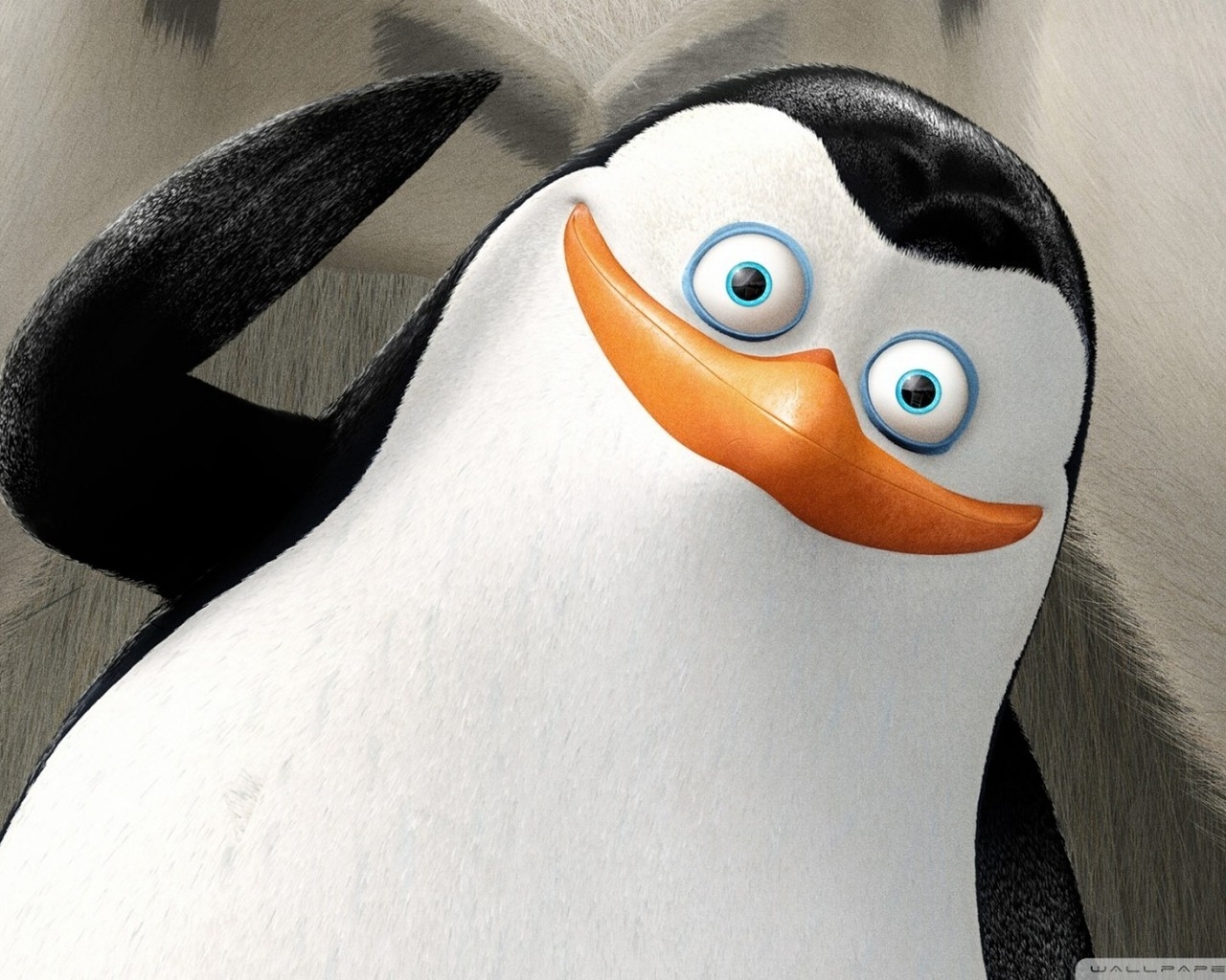 The Penguins of Madagascar Cartoon for 1280 x 1024 resolution