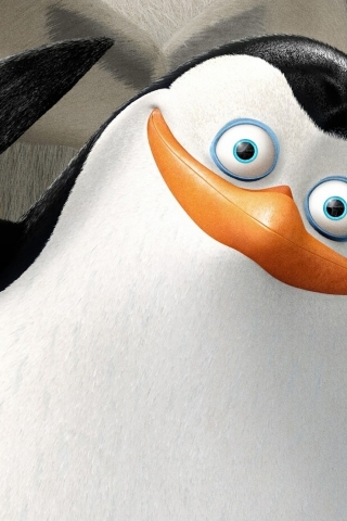 The Penguins of Madagascar Cartoon for 320 x 480 iPhone resolution