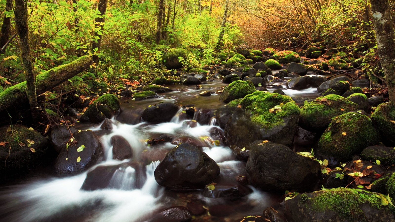 The River of Stones for 1600 x 900 HDTV resolution