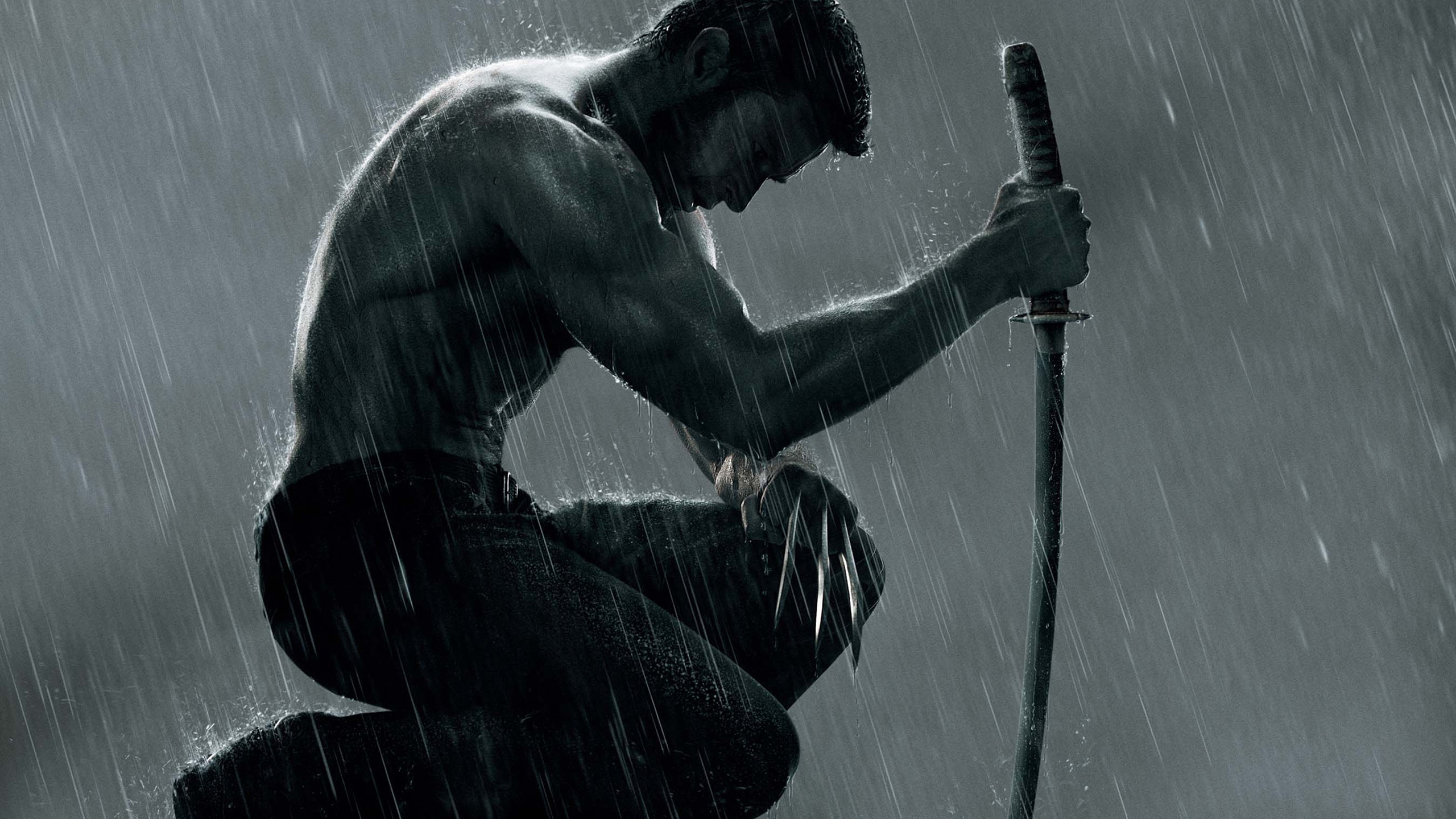 The Wolverine for 2560x1440 HDTV resolution