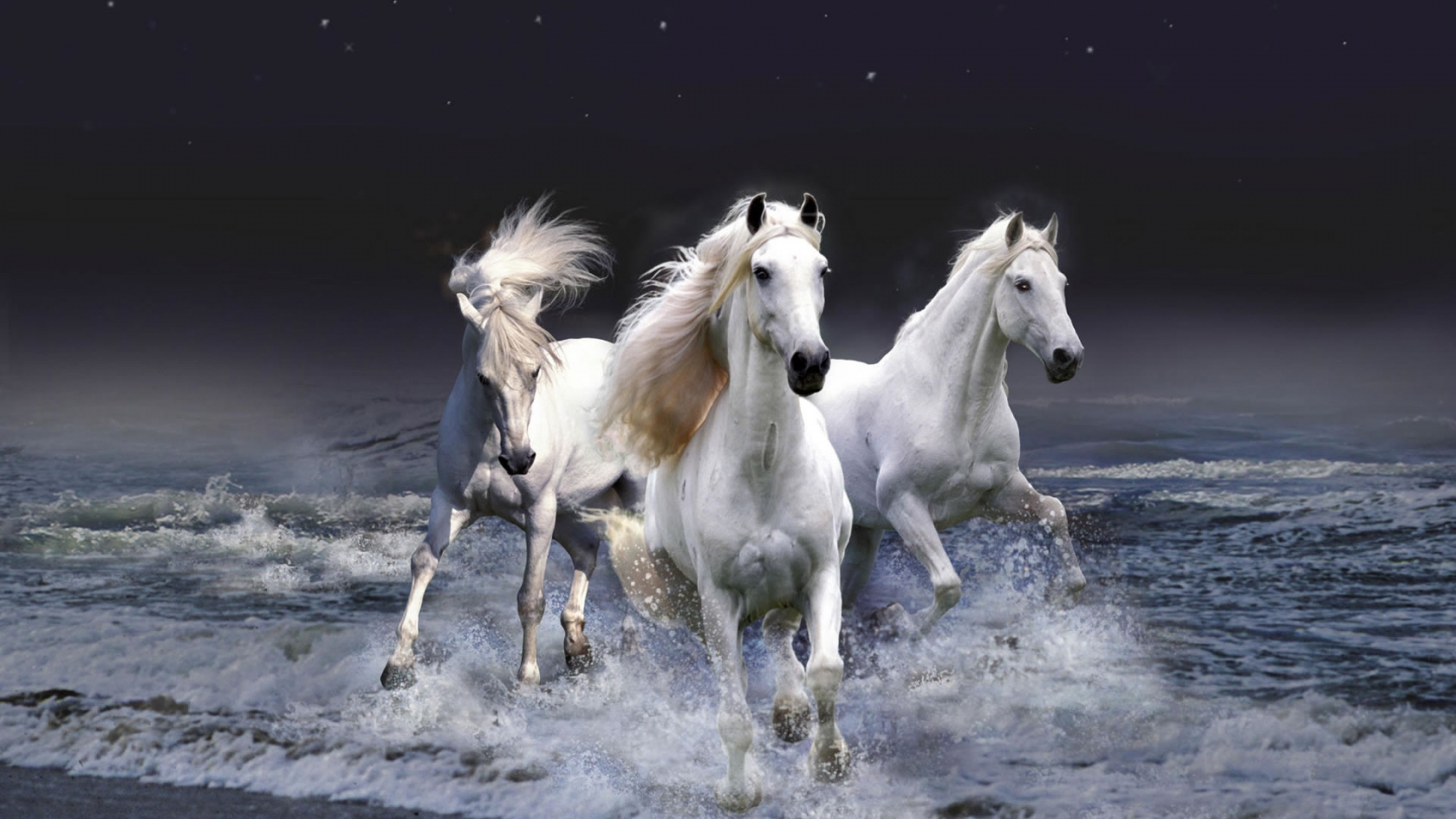 Three White Horses for 1680 x 945 HDTV resolution