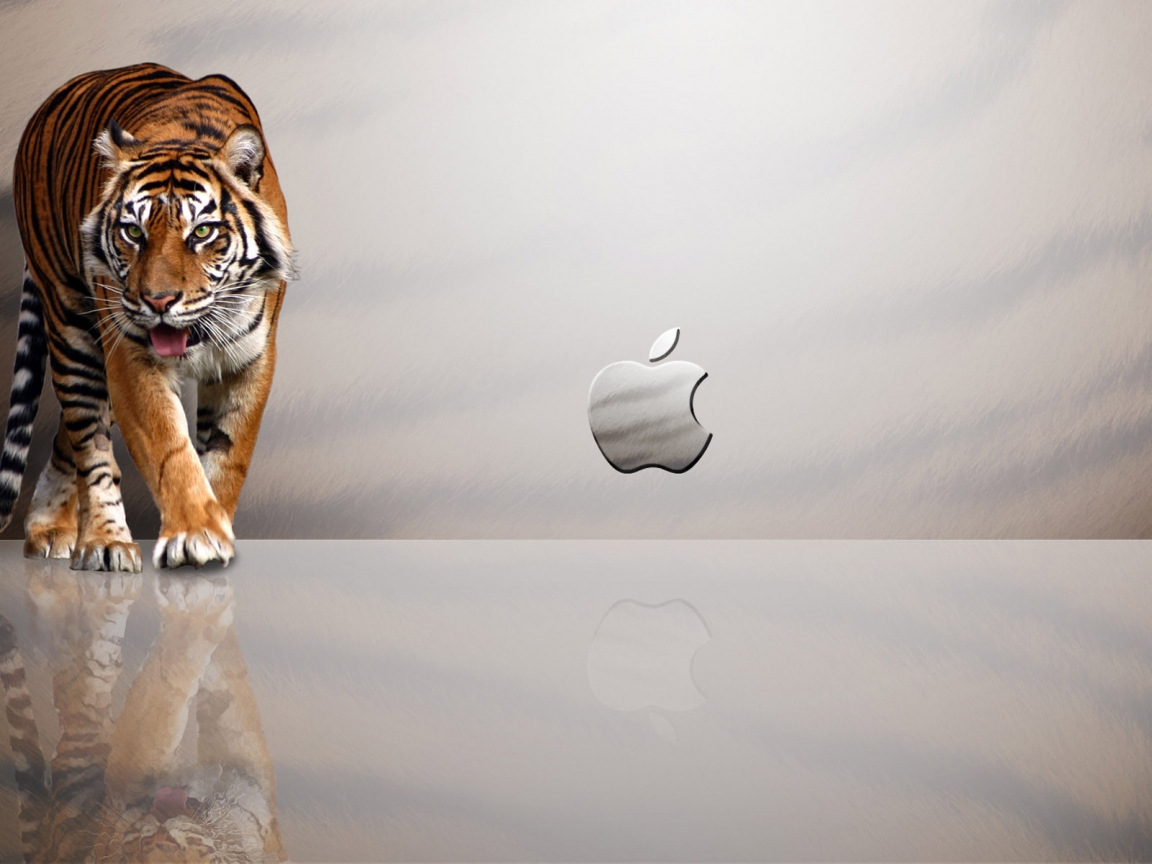 Tiger Apple for 1152 x 864 resolution