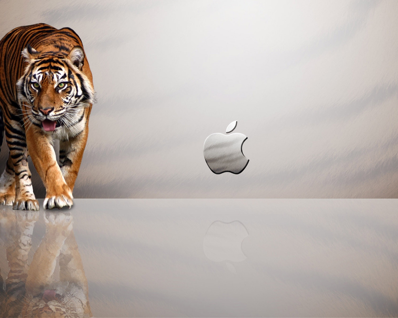 Tiger Apple for 1280 x 1024 resolution