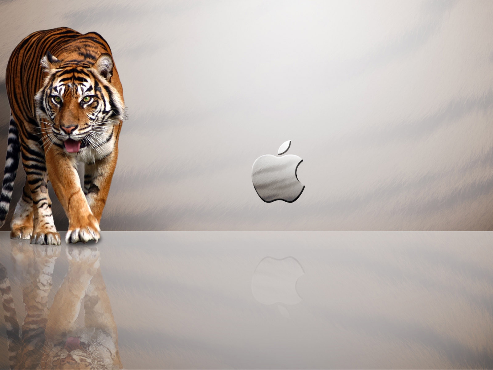 Tiger Apple for 1600 x 1200 resolution