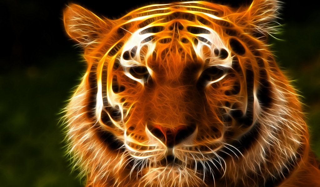 Tiger Face Art for 1024 x 600 widescreen resolution
