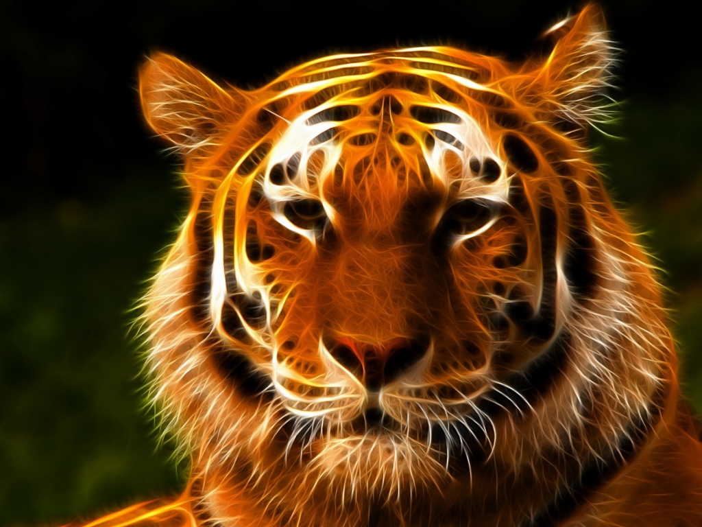 Tiger Face Art for 1024 x 768 resolution