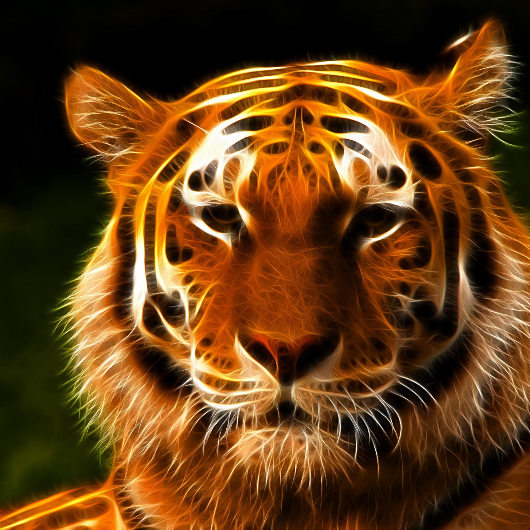 Tiger Face Art for 2048 x 2048 New iPad resolution