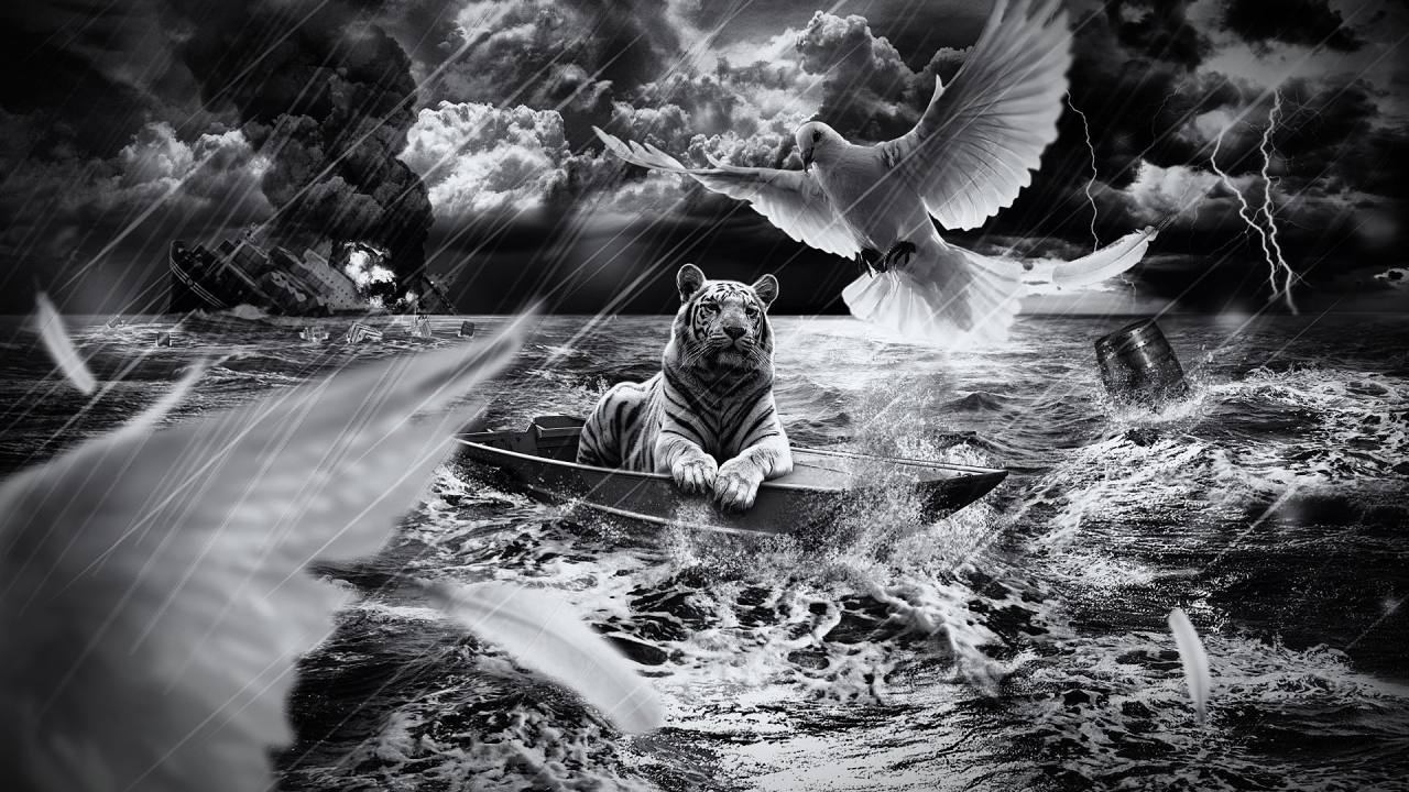 Tiger in a Boat for 1280 x 720 HDTV 720p resolution