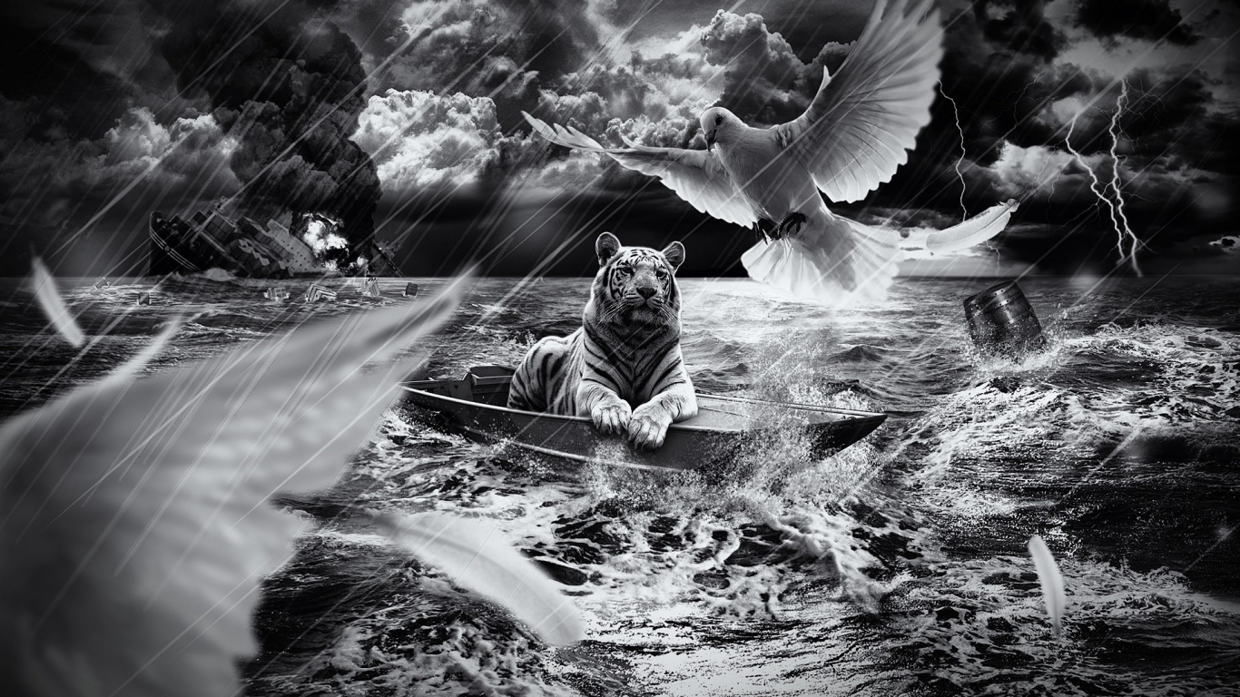 Tiger in a Boat for 1366 x 768 HDTV resolution