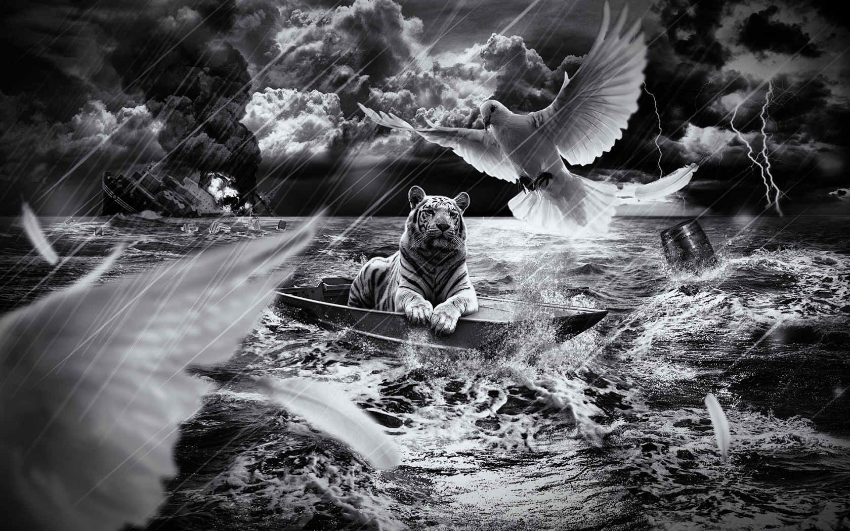 Tiger in a Boat for 1680 x 1050 widescreen resolution
