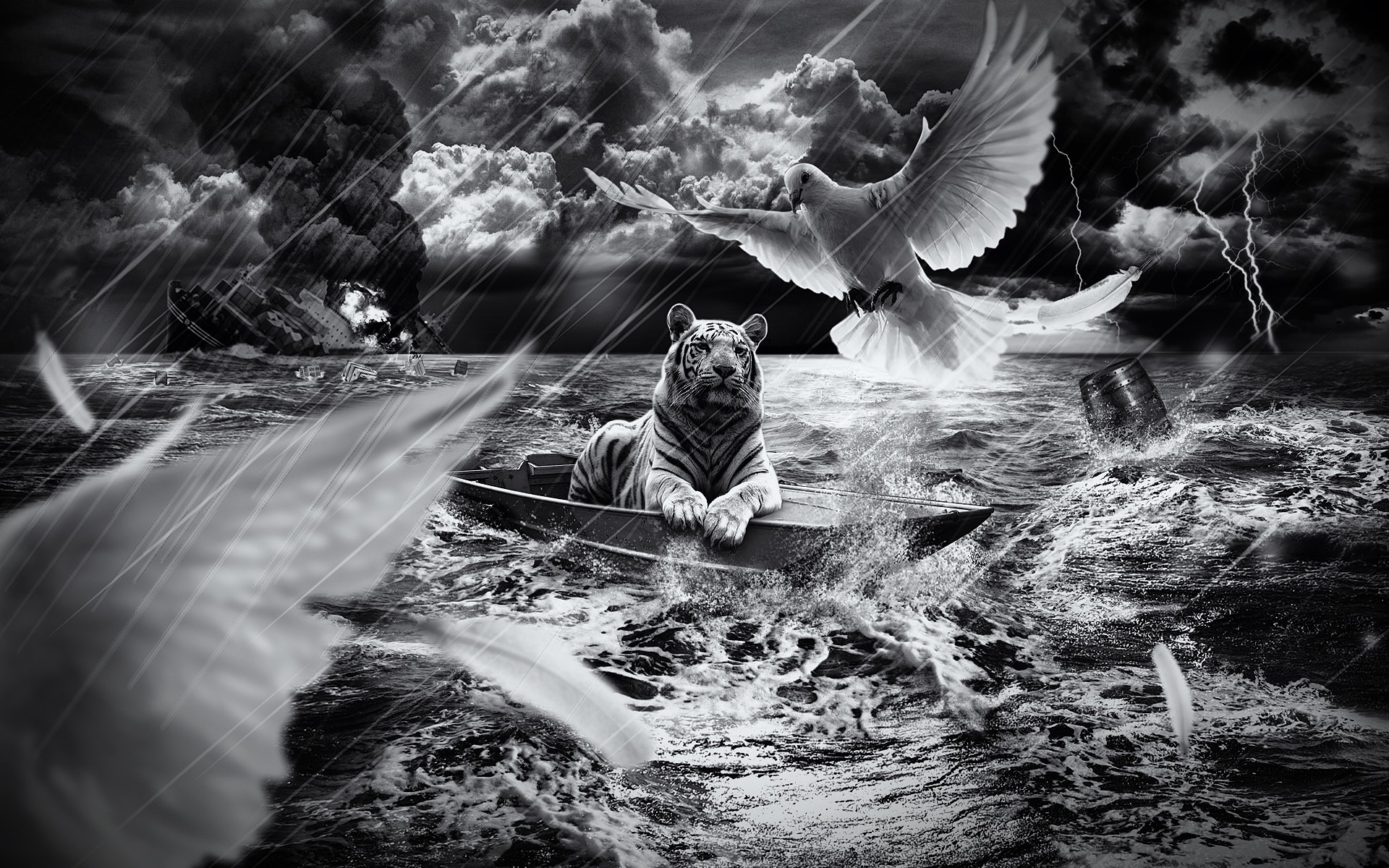 Tiger in a Boat for 1920 x 1200 widescreen resolution