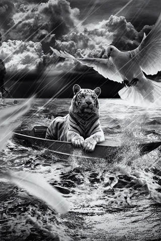 Tiger in a Boat for 320 x 480 iPhone resolution
