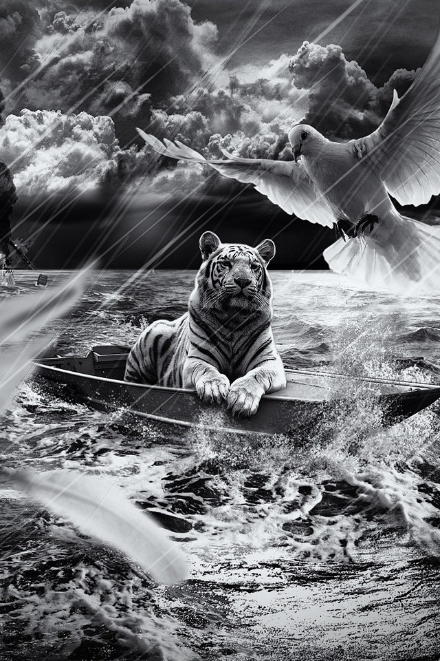 Tiger in a Boat for 640 x 960 iPhone 4 resolution