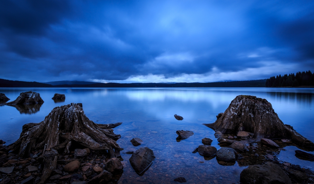 Timothy Lake Oregon for 1024 x 600 widescreen resolution