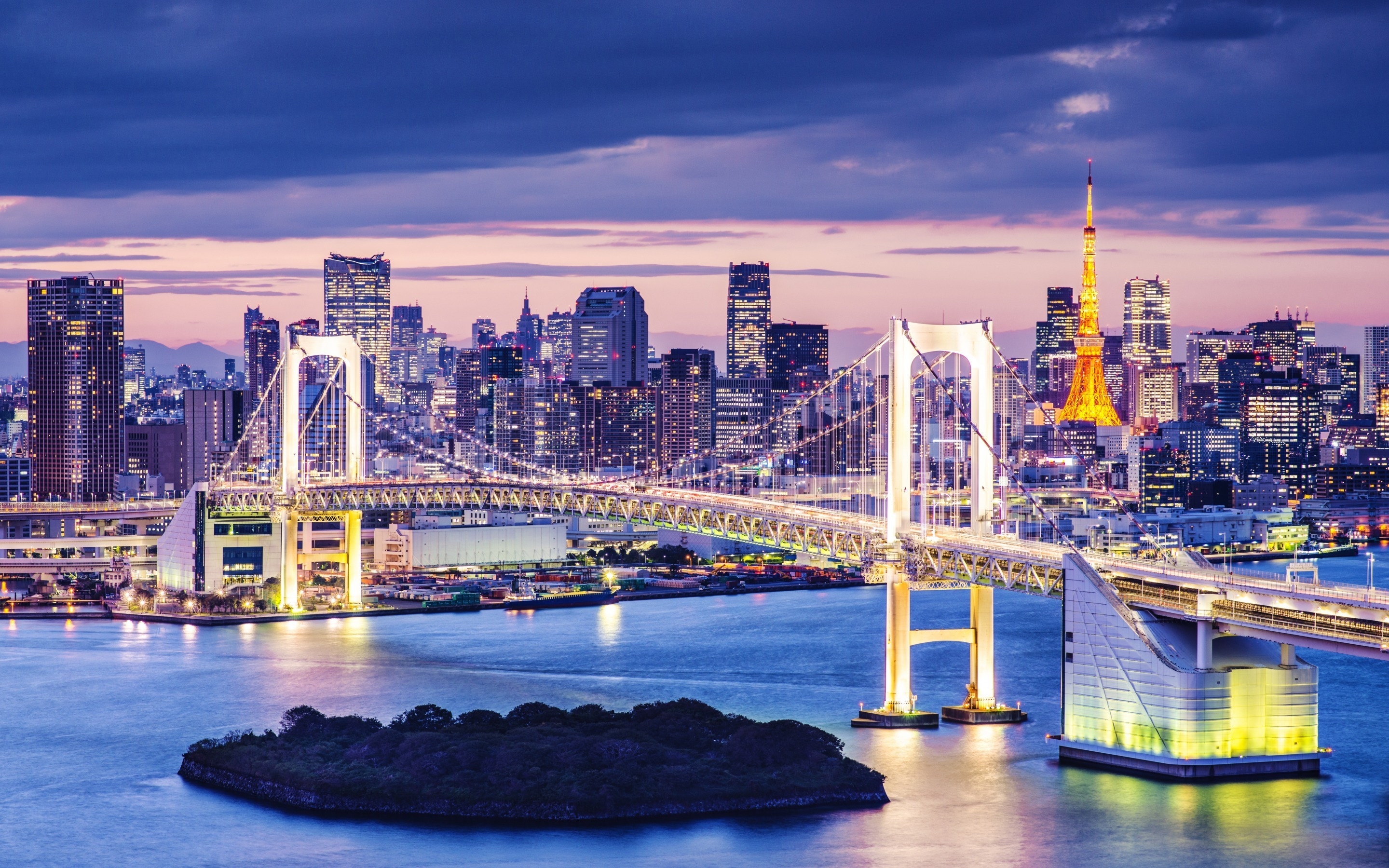 Tokyo Night View  for 2880 x 1800 Retina Display resolution