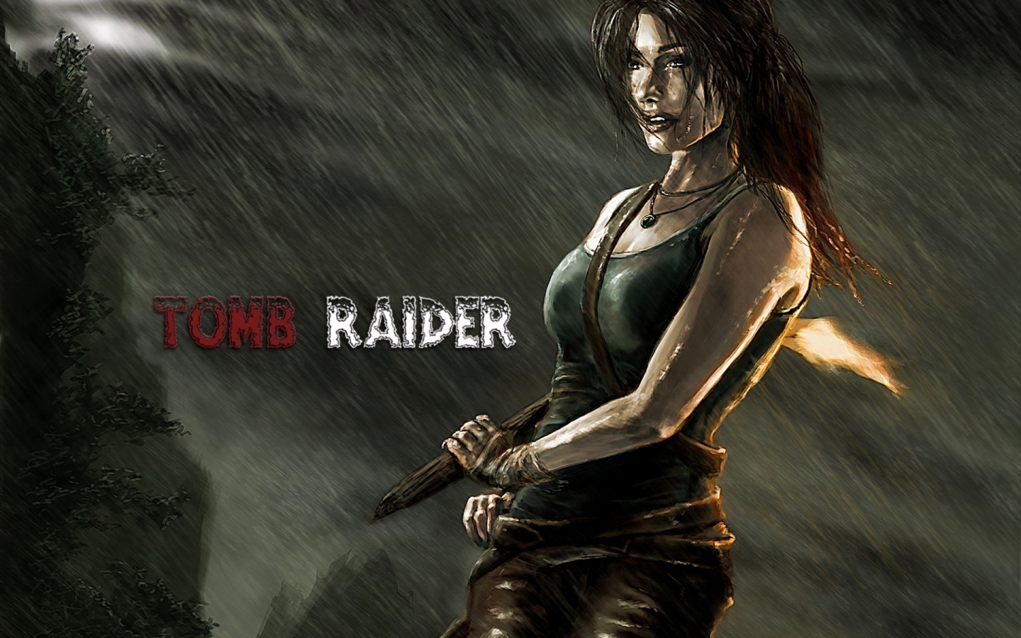 Tomb Raider Poster for 1440 x 900 widescreen resolution
