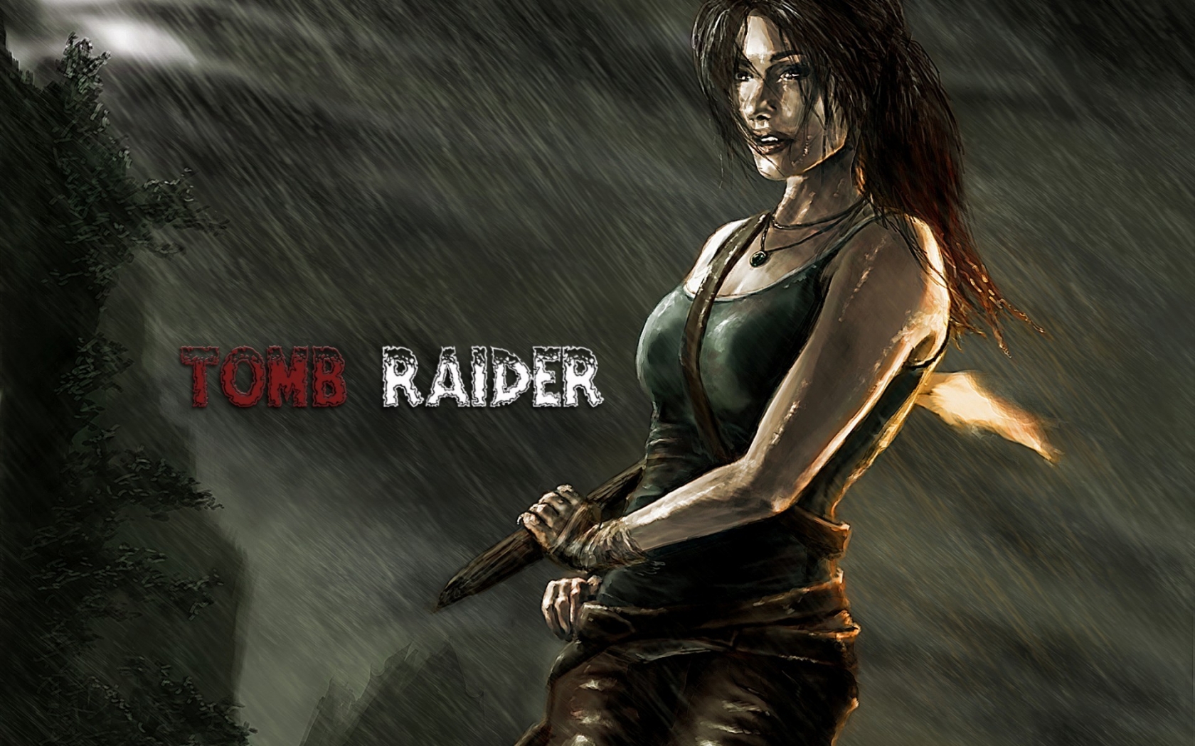 Tomb Raider Poster for 1680 x 1050 widescreen resolution