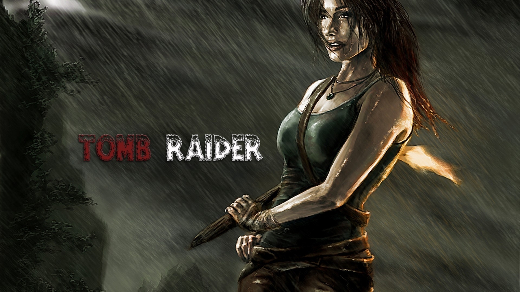 Tomb Raider Poster for 1680 x 945 HDTV resolution
