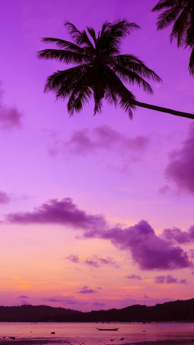 Tropical Paradise  for 640 x 1136 iPhone 5 resolution